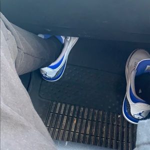 Meet your Posher, Sammy